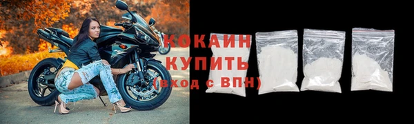 ПСИЛОЦИБИНОВЫЕ ГРИБЫ Каменка