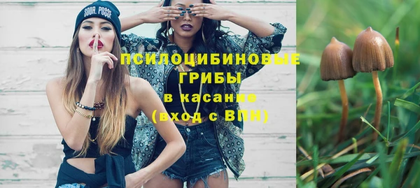 бошки Инсар