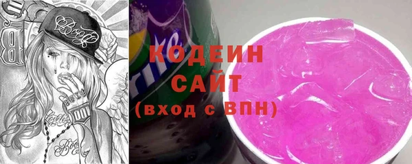 ПСИЛОЦИБИНОВЫЕ ГРИБЫ Каменка