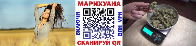 Купить закладки  Менделеевск  Канабис Amnesia 